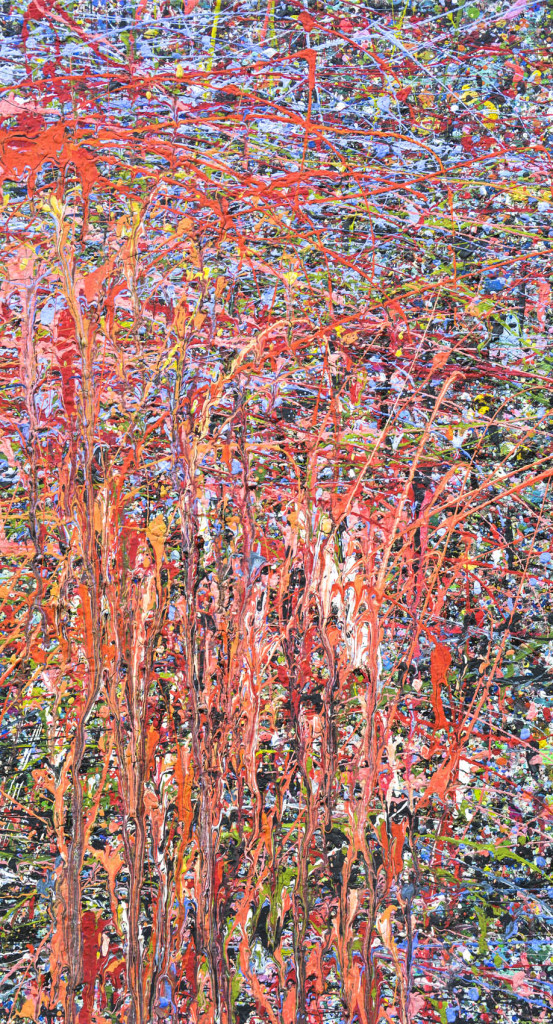 David Komander, oil/canvas 70 x 50cm, 2010